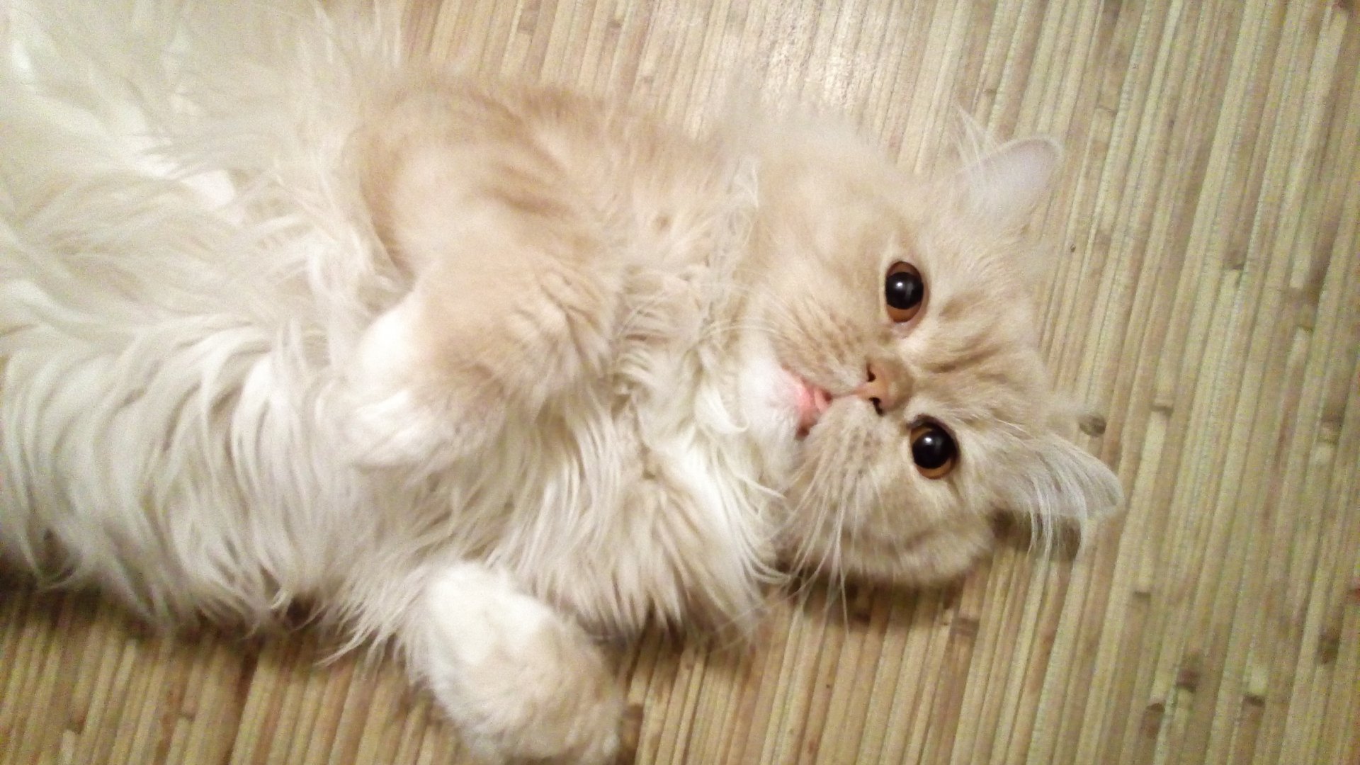 2017-09-04 23-06-21.JPG