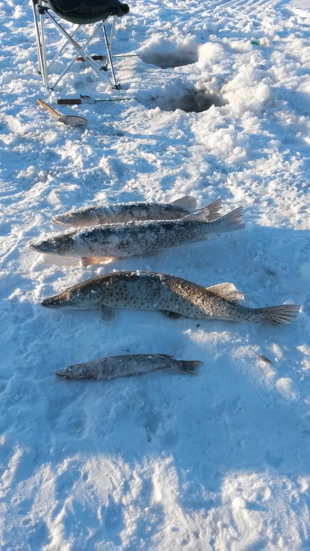 20170122_162933.jpg