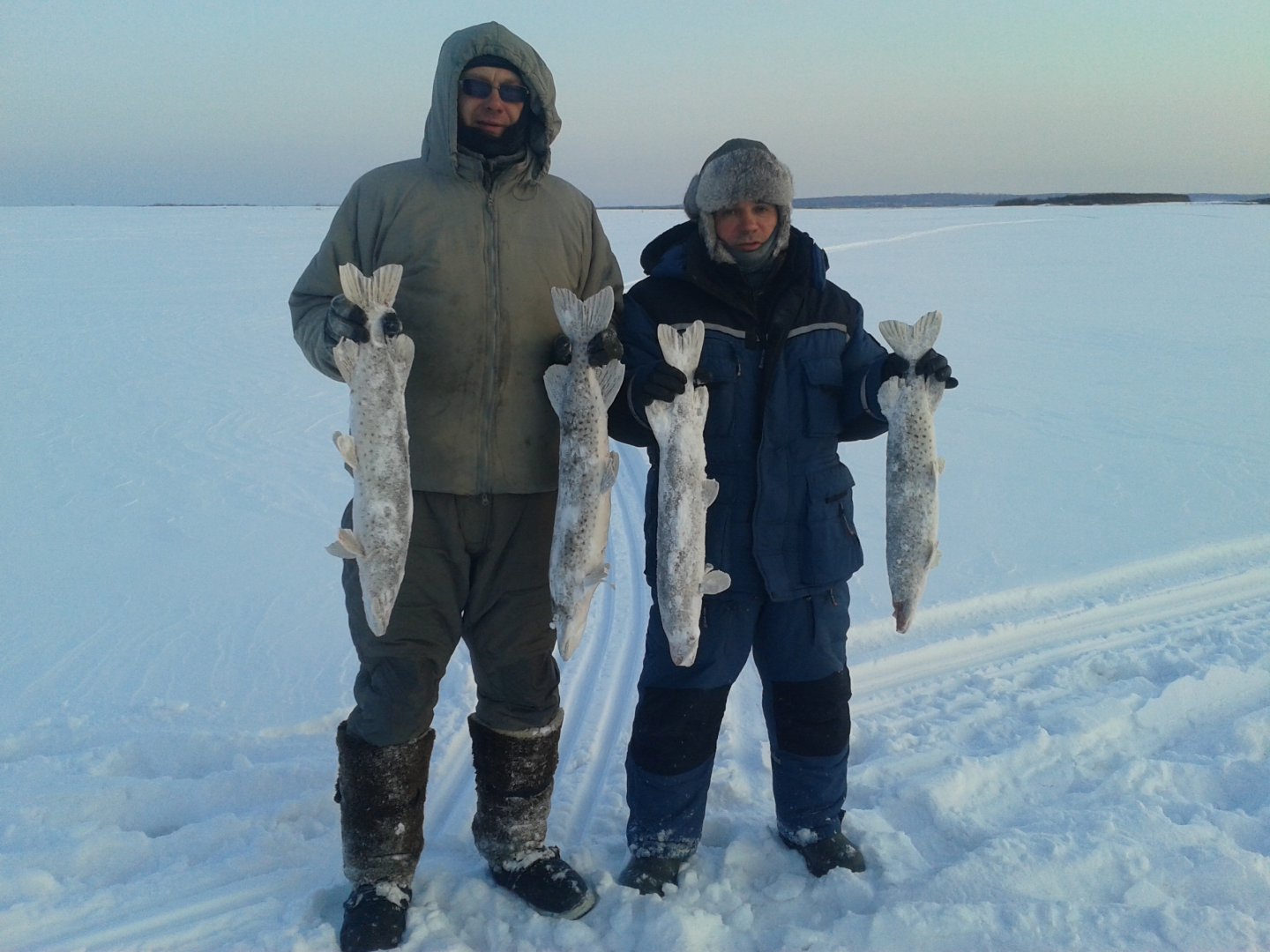 20170129_171904.jpg