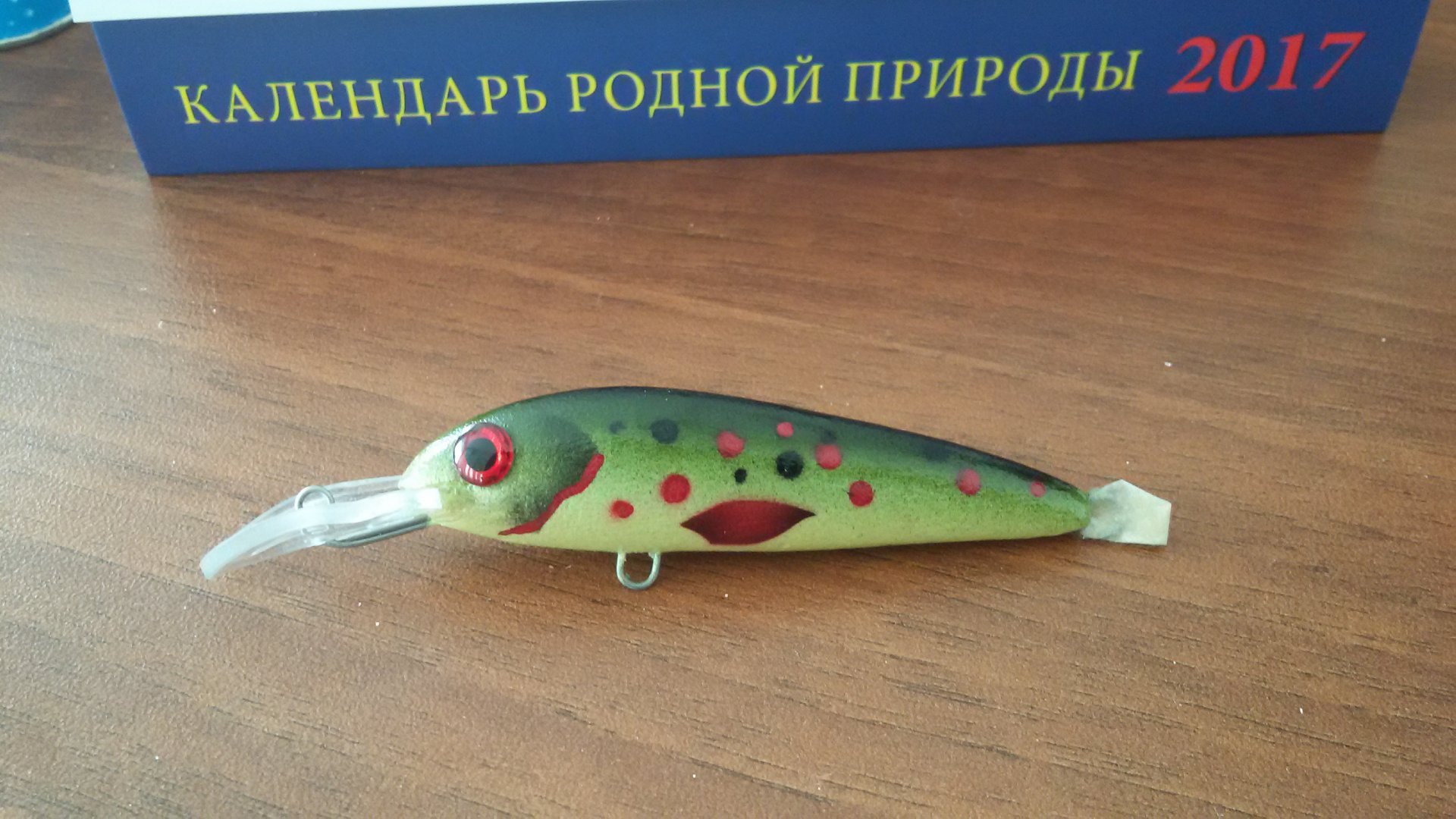 20170130_112640.jpg