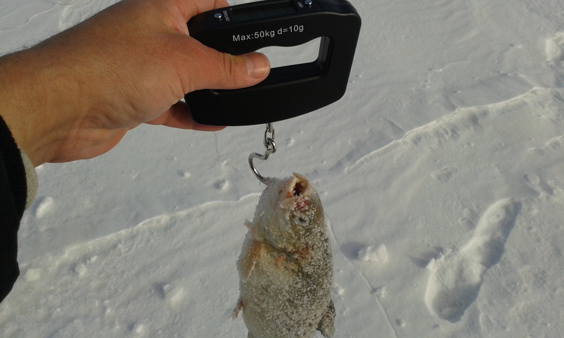 20170207_142148.jpg