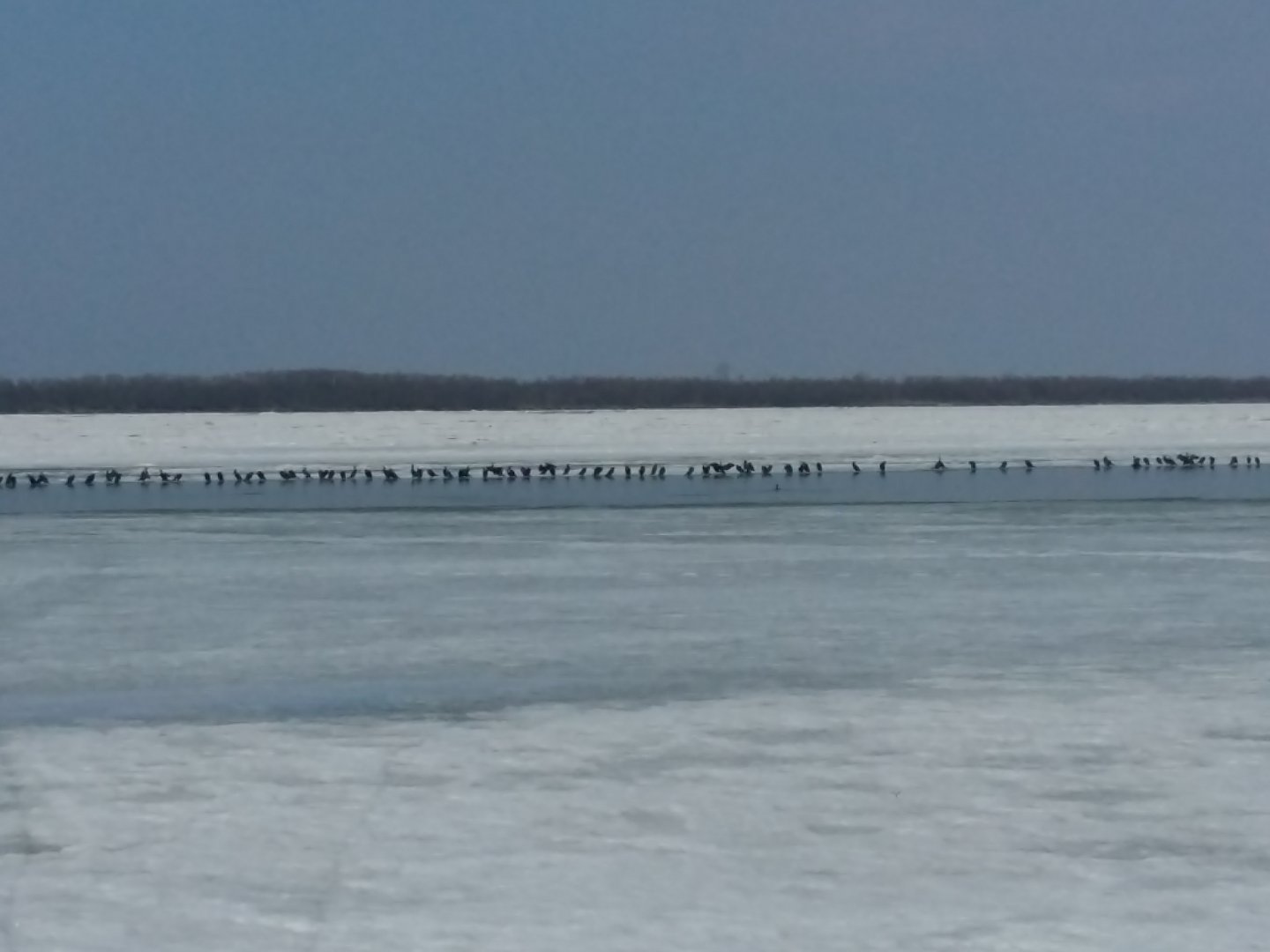 20170331_120808.jpg