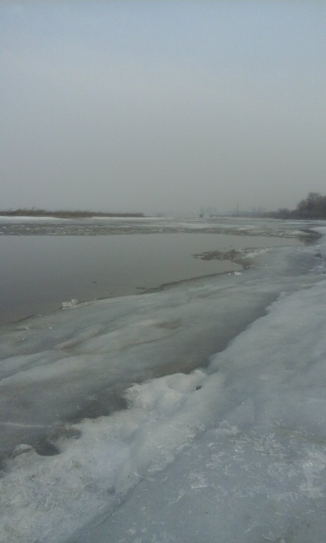 20170405_090246.jpg