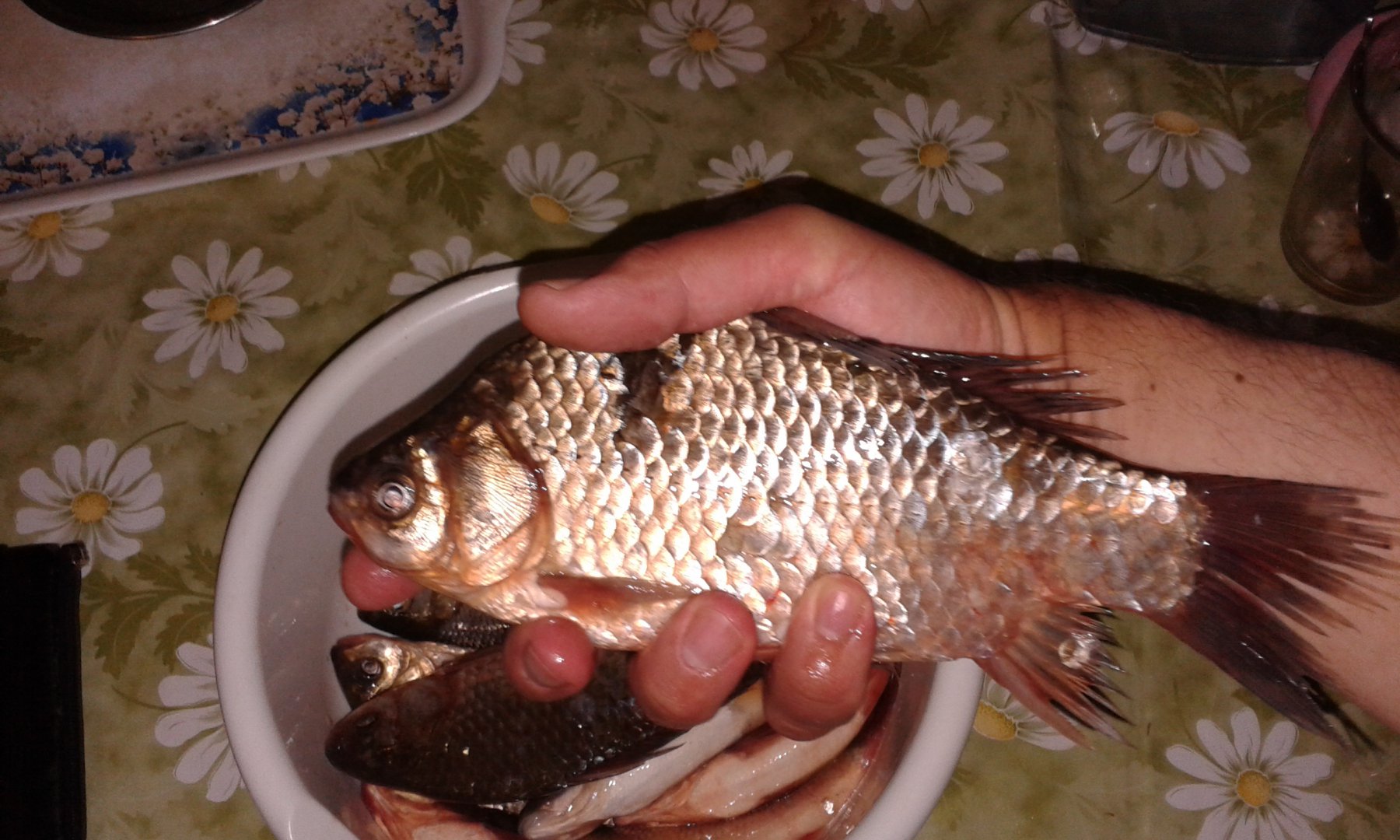 20170503_204423.jpg