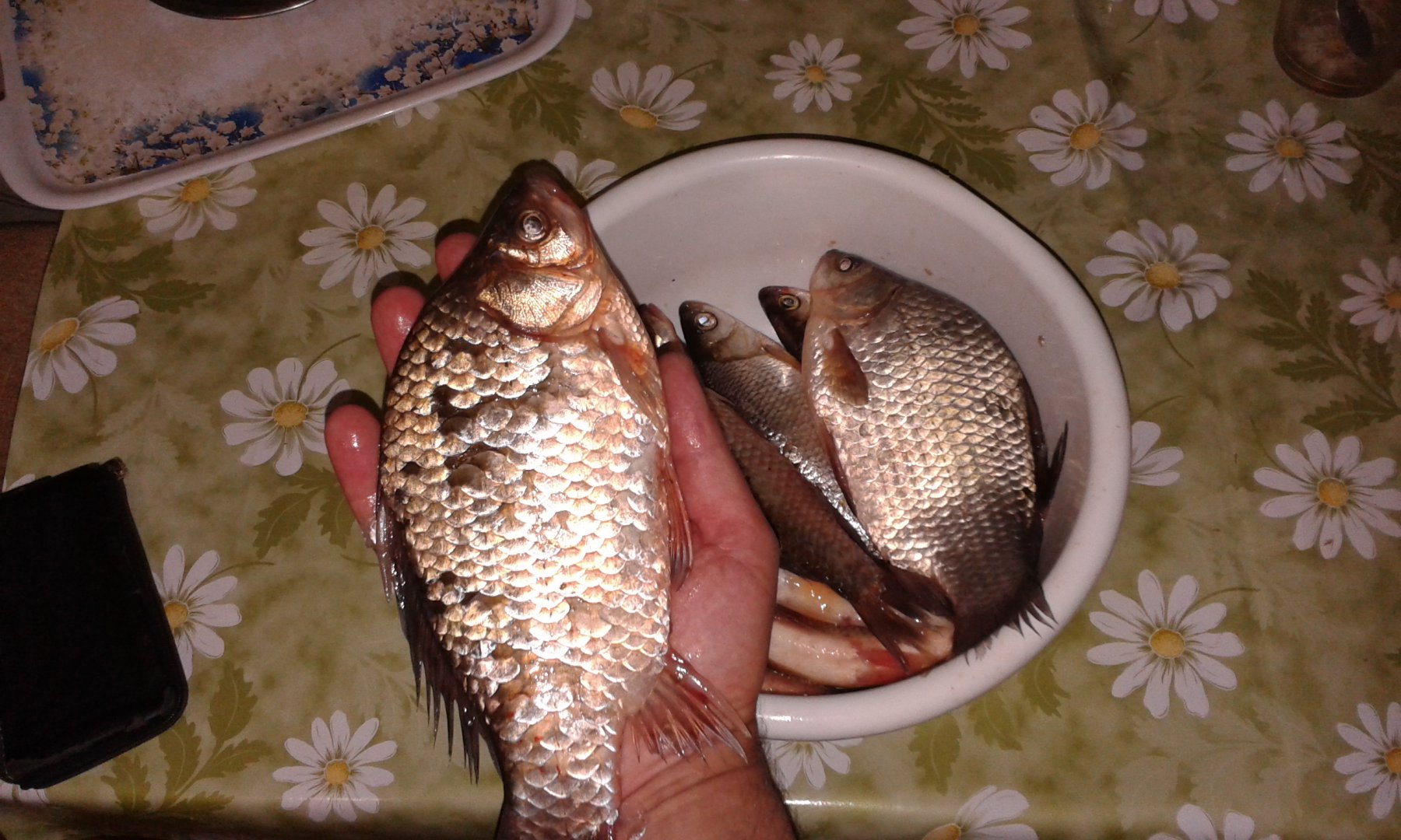 20170503_204559.jpg