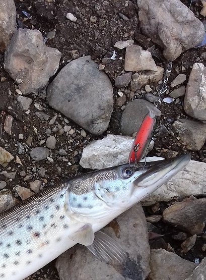 20170507_100627.jpg