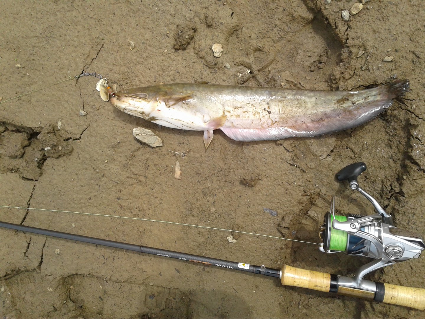 20170512_115432.jpg