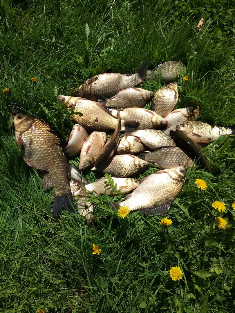 20170521_153022.jpg