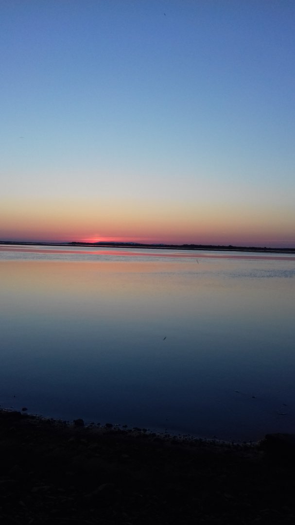 20170526_204808.jpg