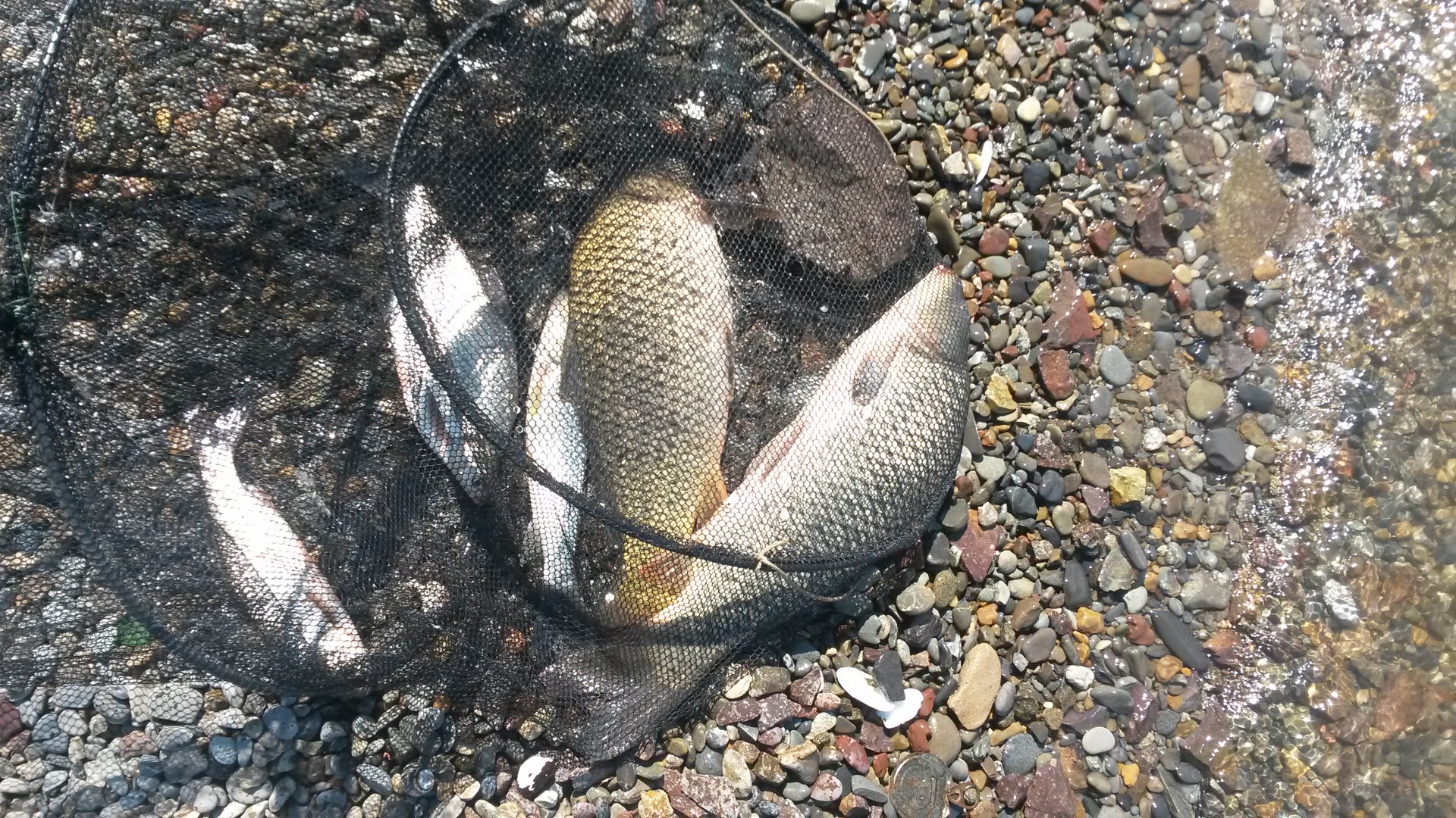 20170527_113836.jpg