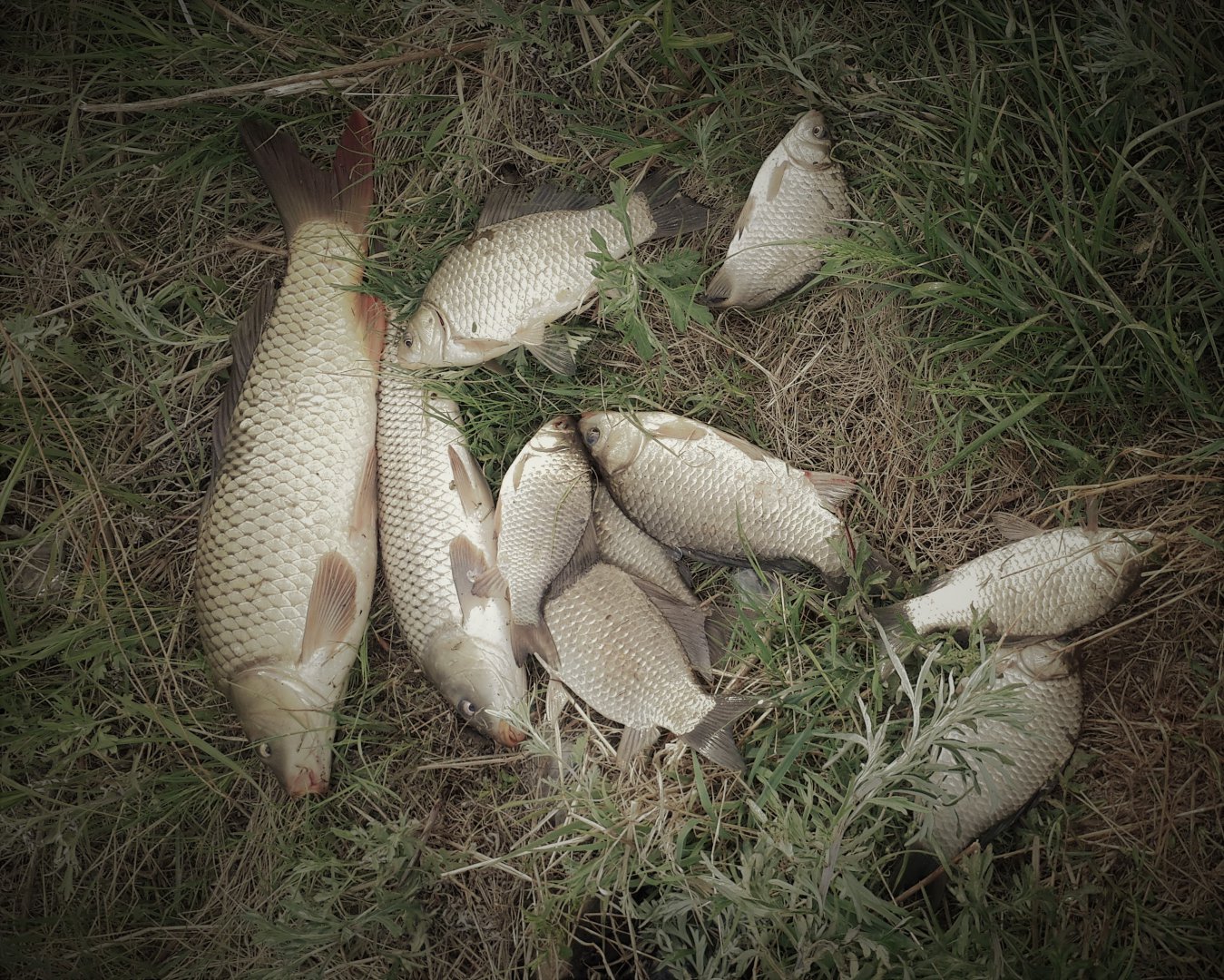 20170529_181015.jpg