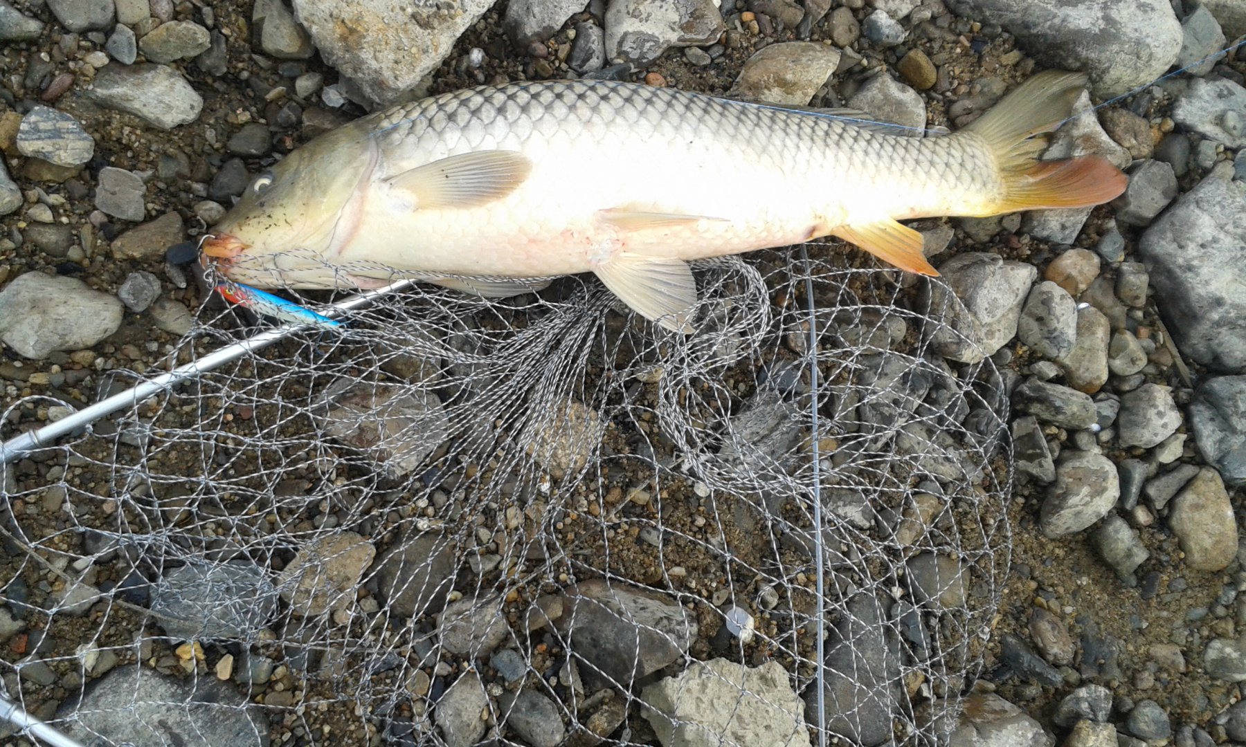 20170531_072910.jpg