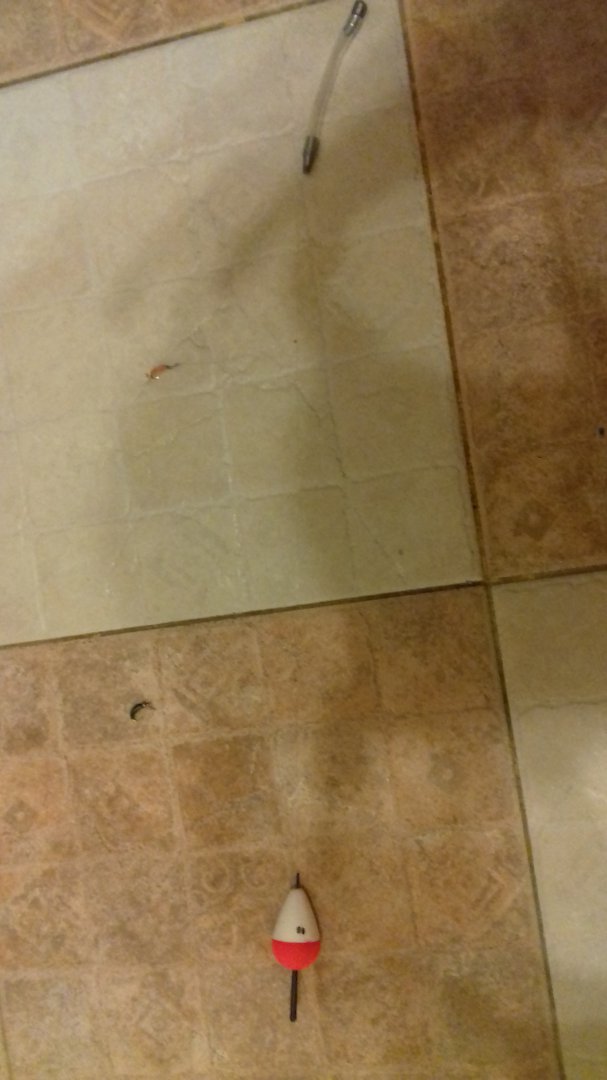 20170531_214042.jpg