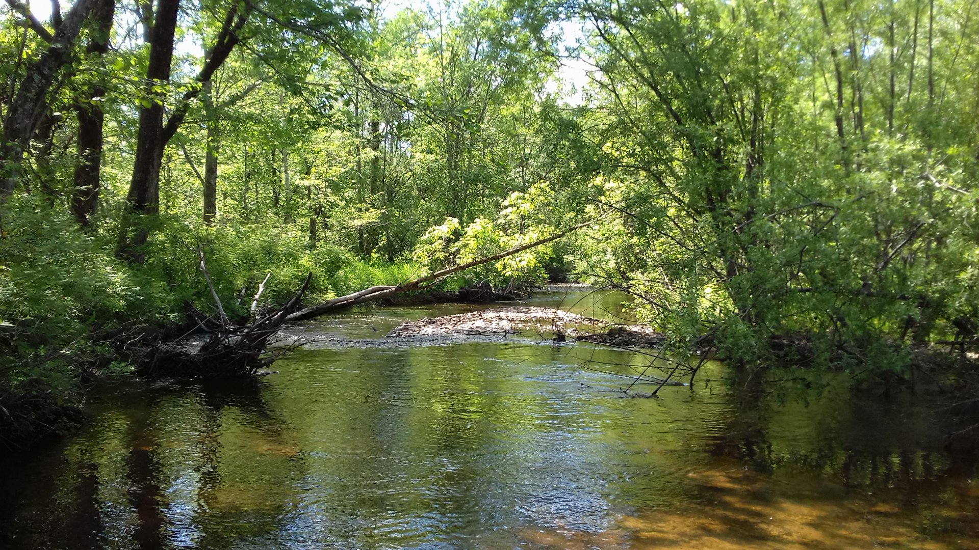 20170610_145853.jpg