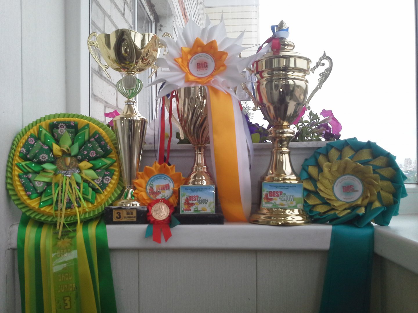 20170617_123537.jpg