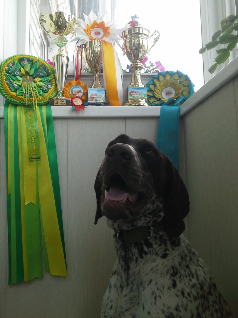 20170617_123902.jpg