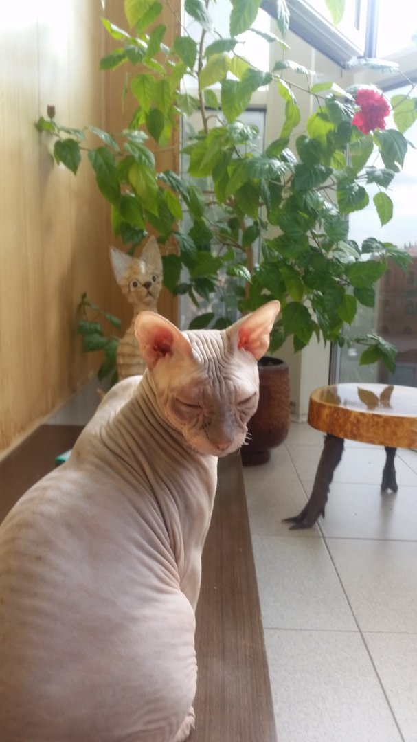 20170617_163344.jpg