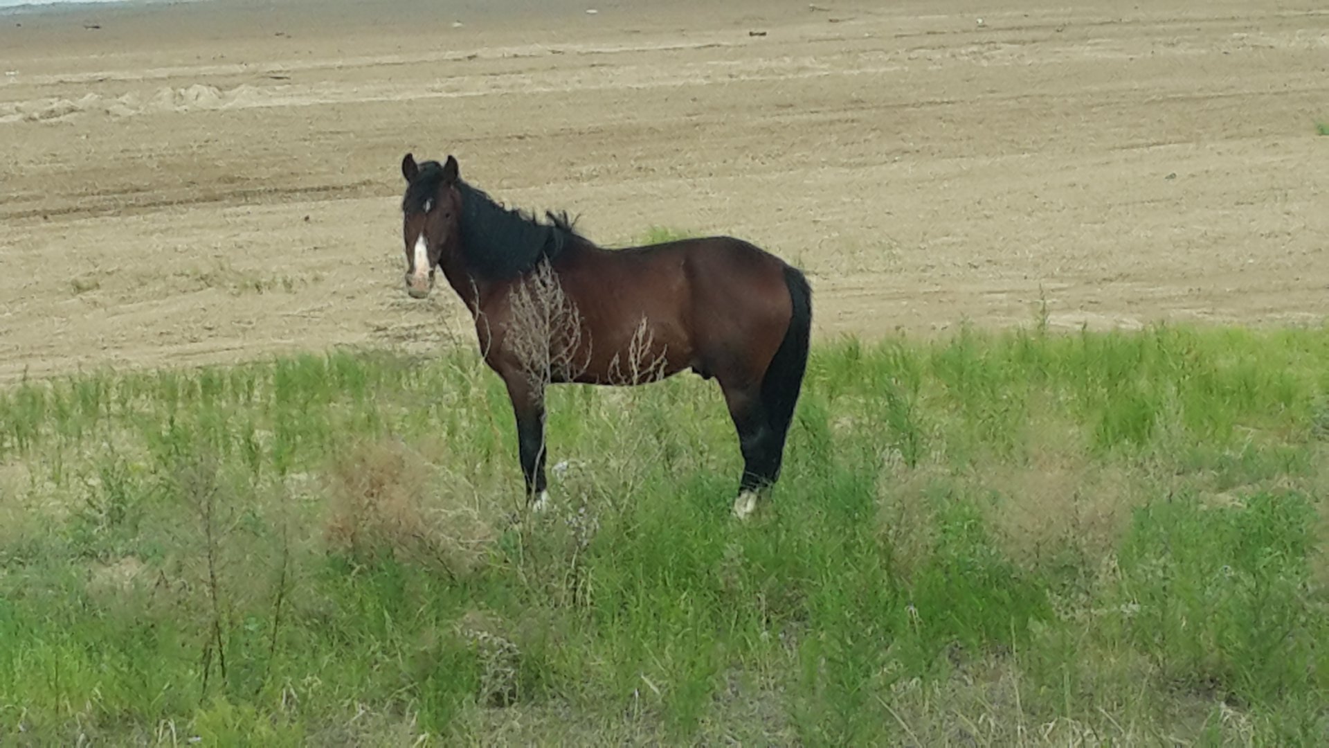 20170620_085753.jpg