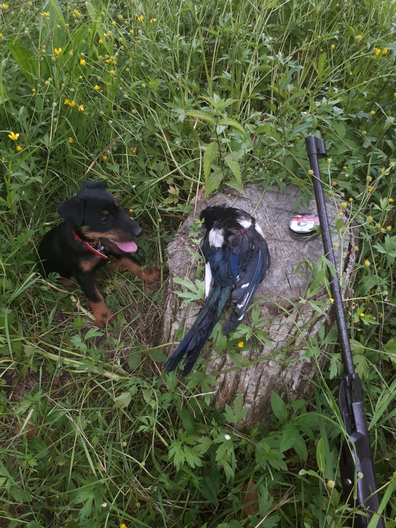 20170628_190758.jpg
