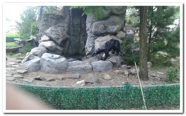20170709_130940.jpg