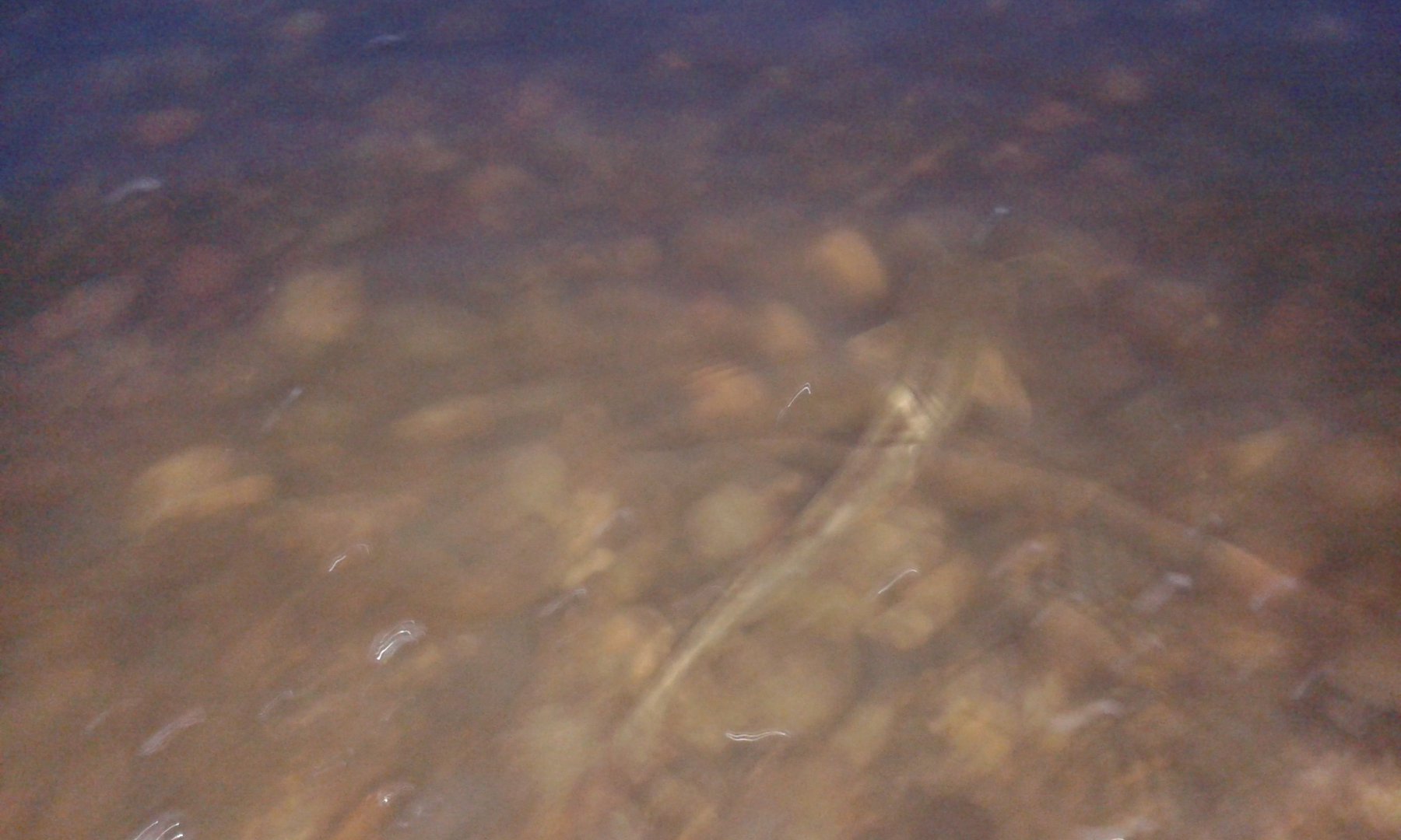 20170720_045719.jpg