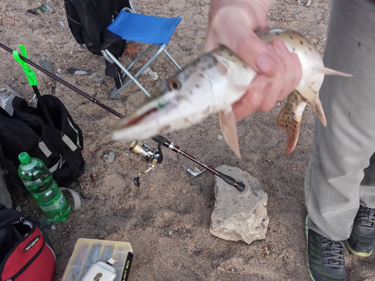 20170728_202448_LLS.jpg