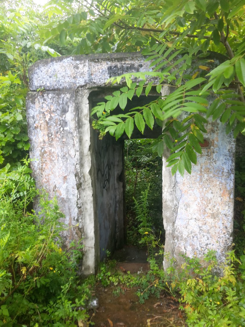 20170803_122427.jpg