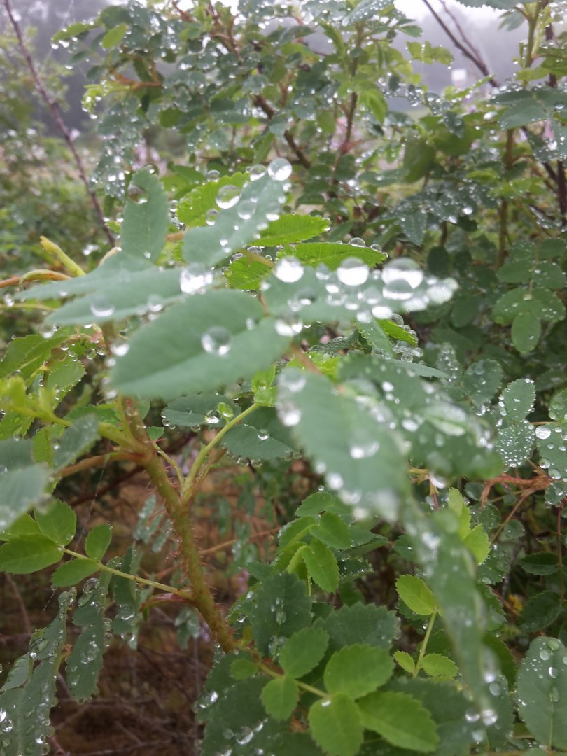20170805_124247.jpg