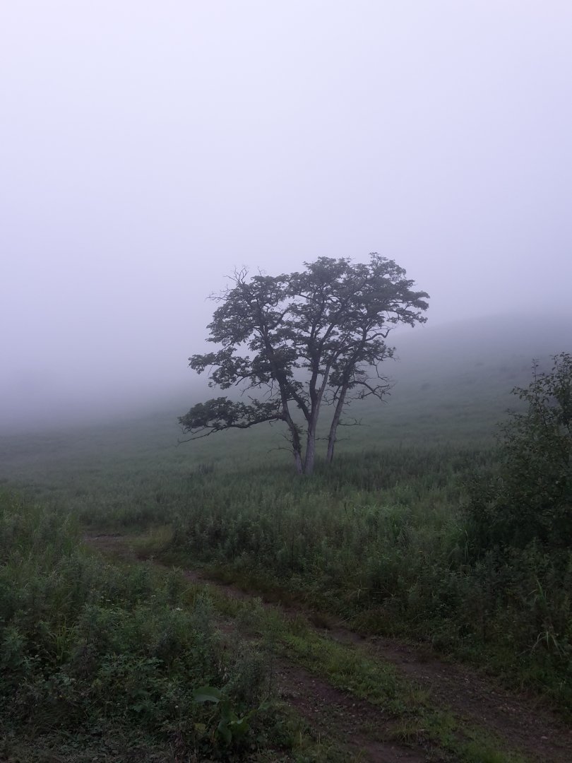 20170806_180251.jpg