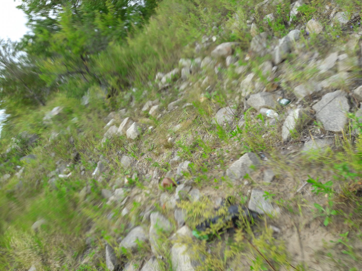 20170812_174740.jpg