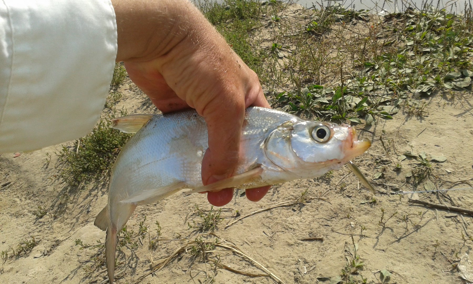 20170815_154453.jpg