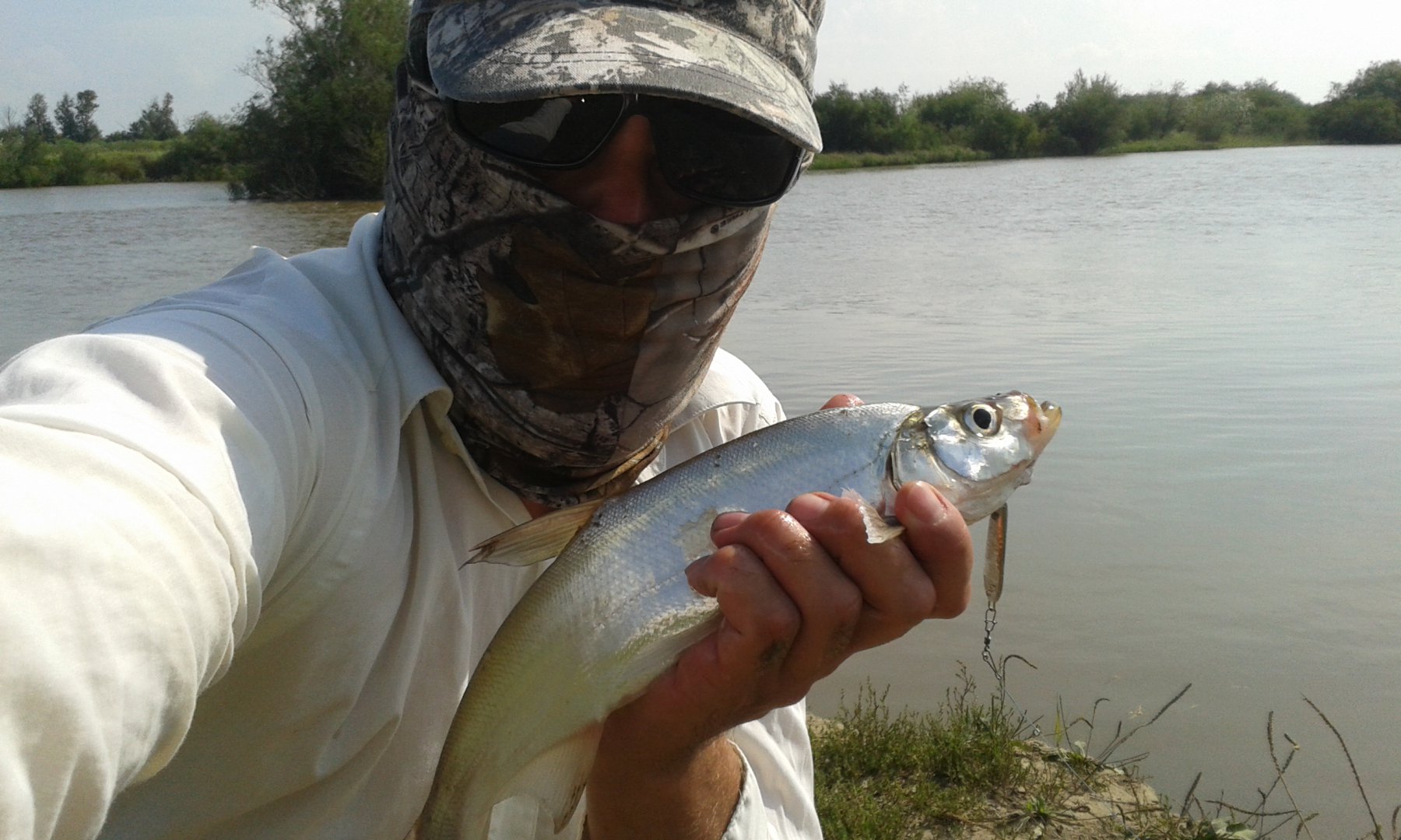 20170815_154514.jpg