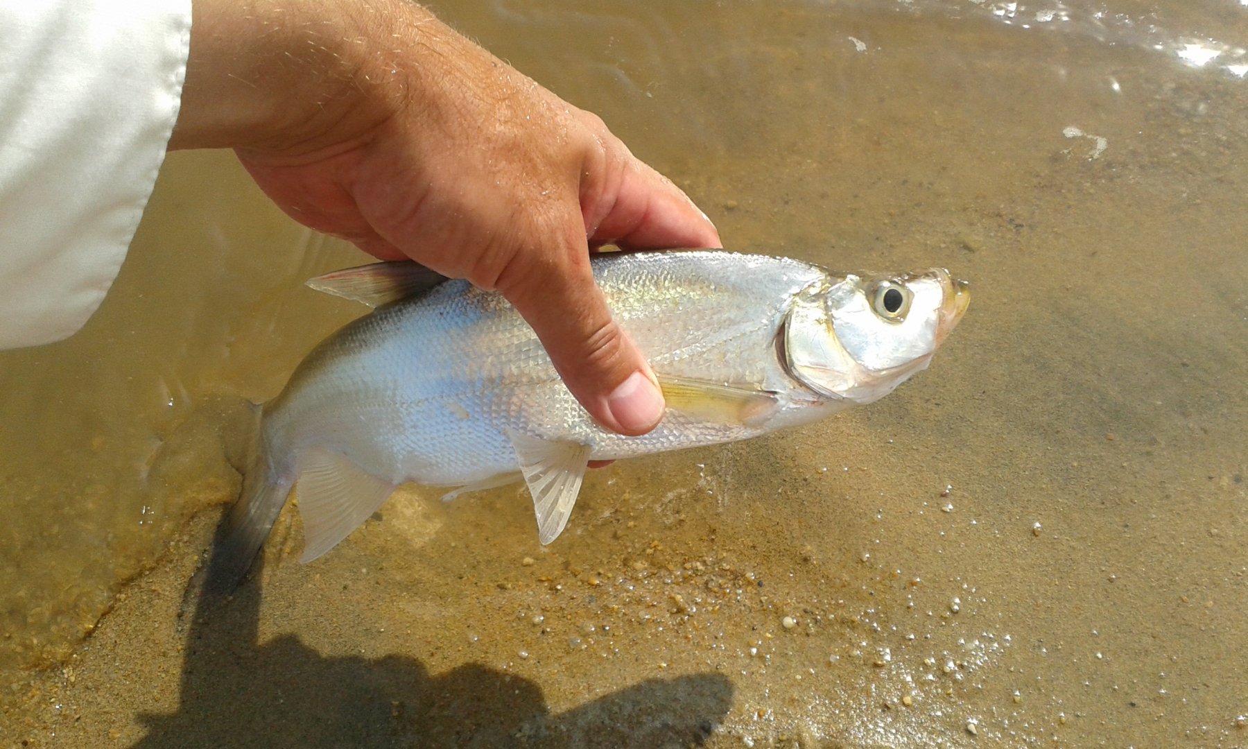 20170815_160435.jpg