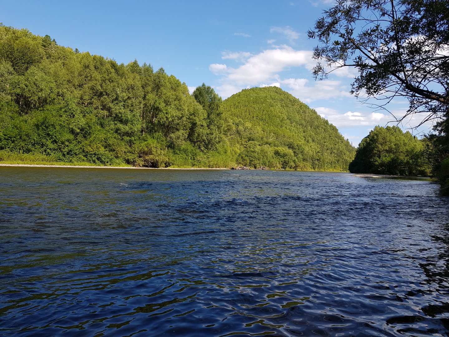 20170816_155657.jpg