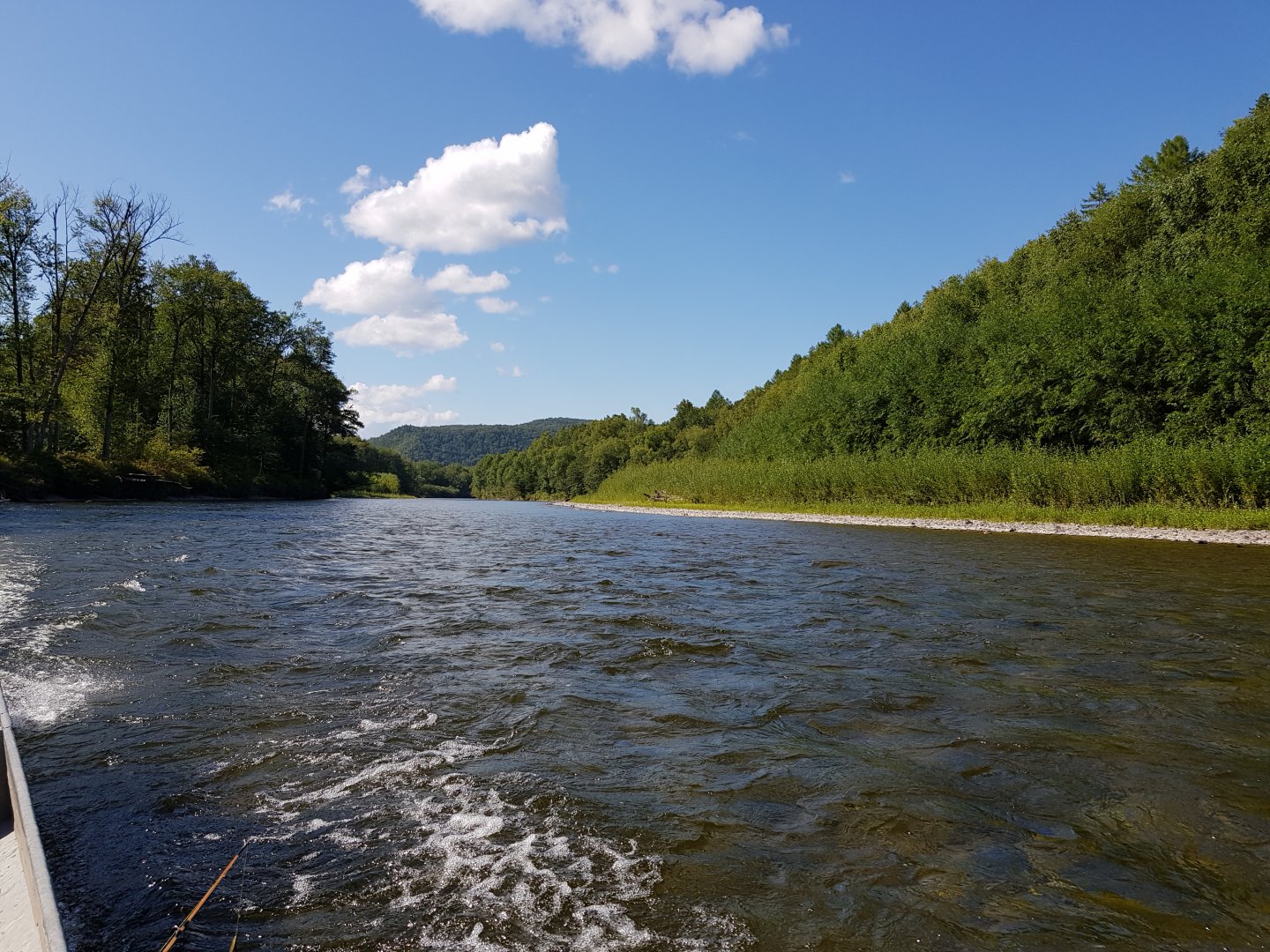 20170817_155209.jpg