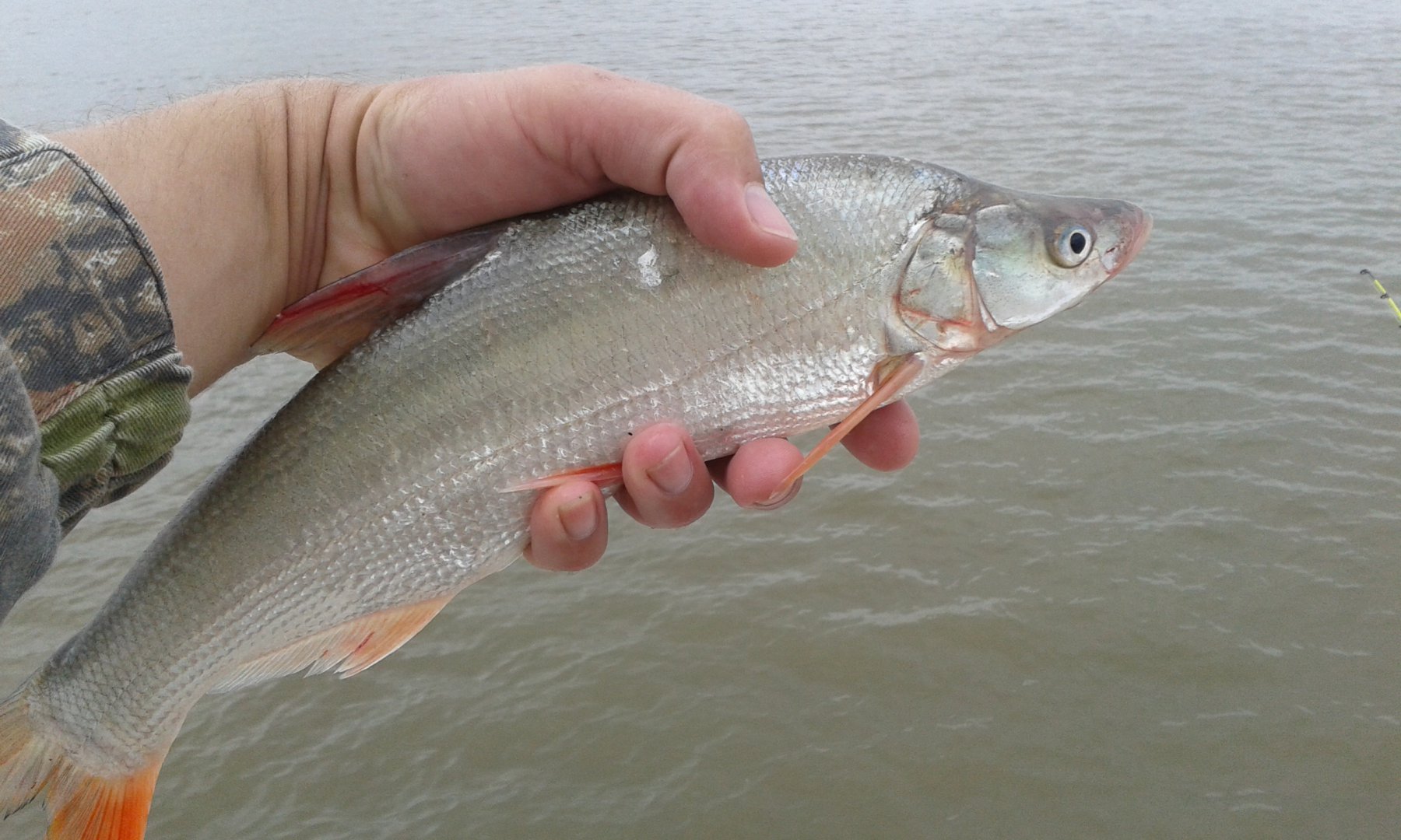 20170825_110303.jpg