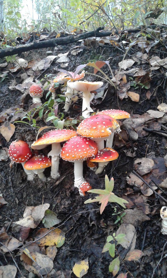 20170915_104035.jpg