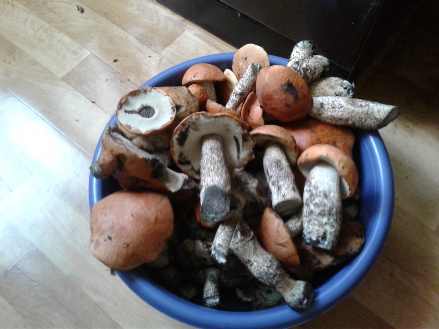 20170915_131103.jpg