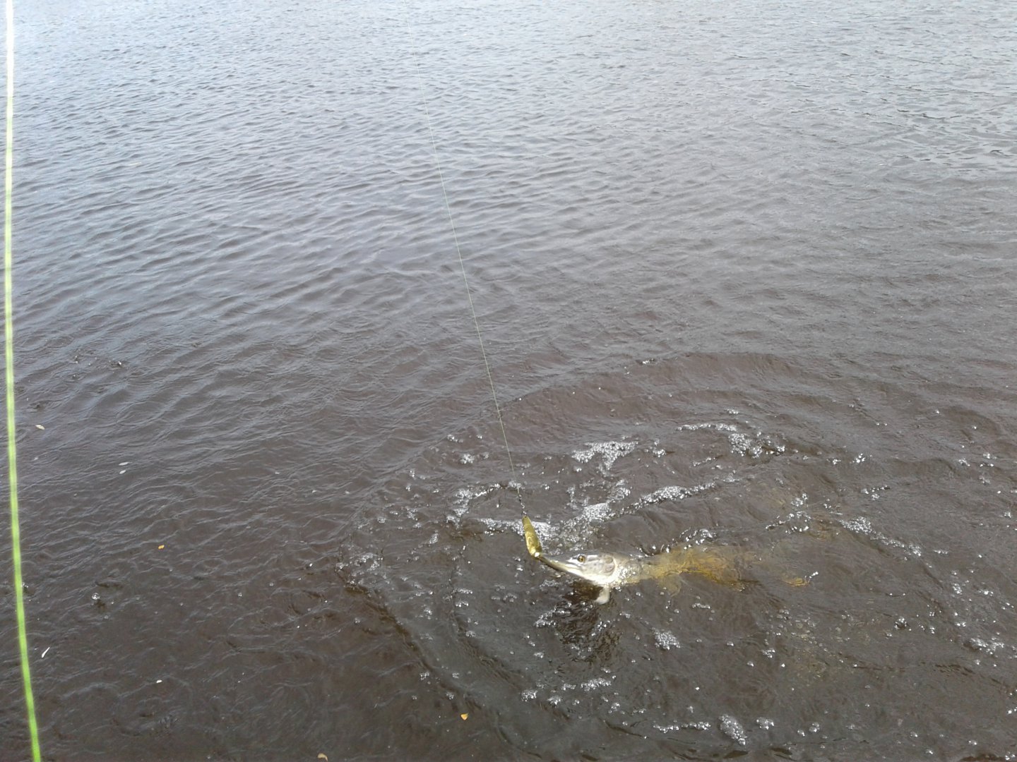 20170924_130125.jpg