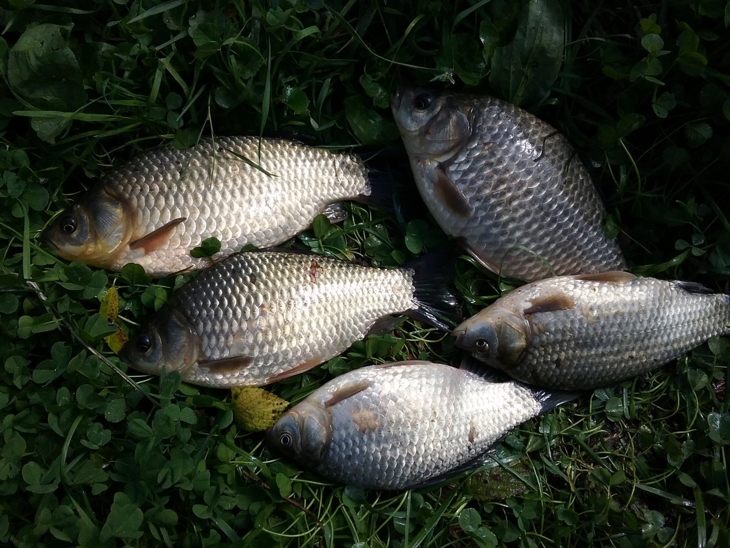 20170924_132701.jpg