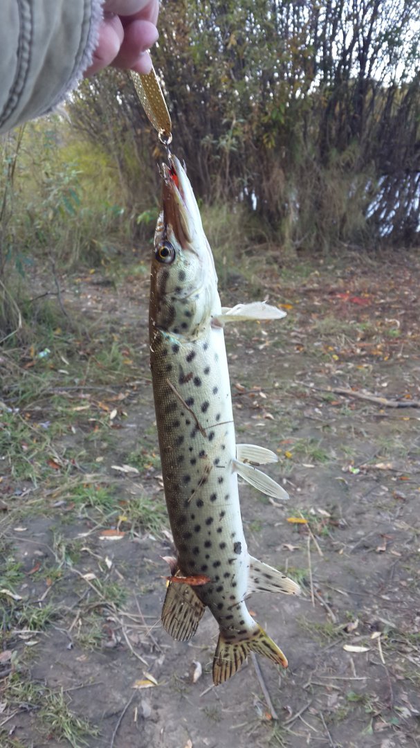 20170927_123153.jpg