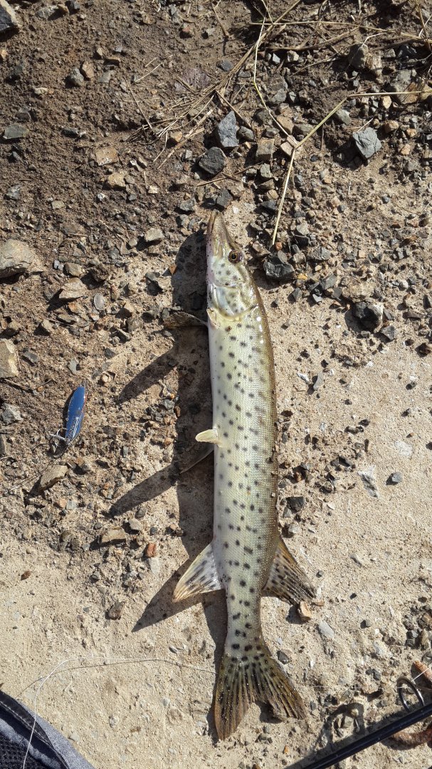 20170927_144653.jpg
