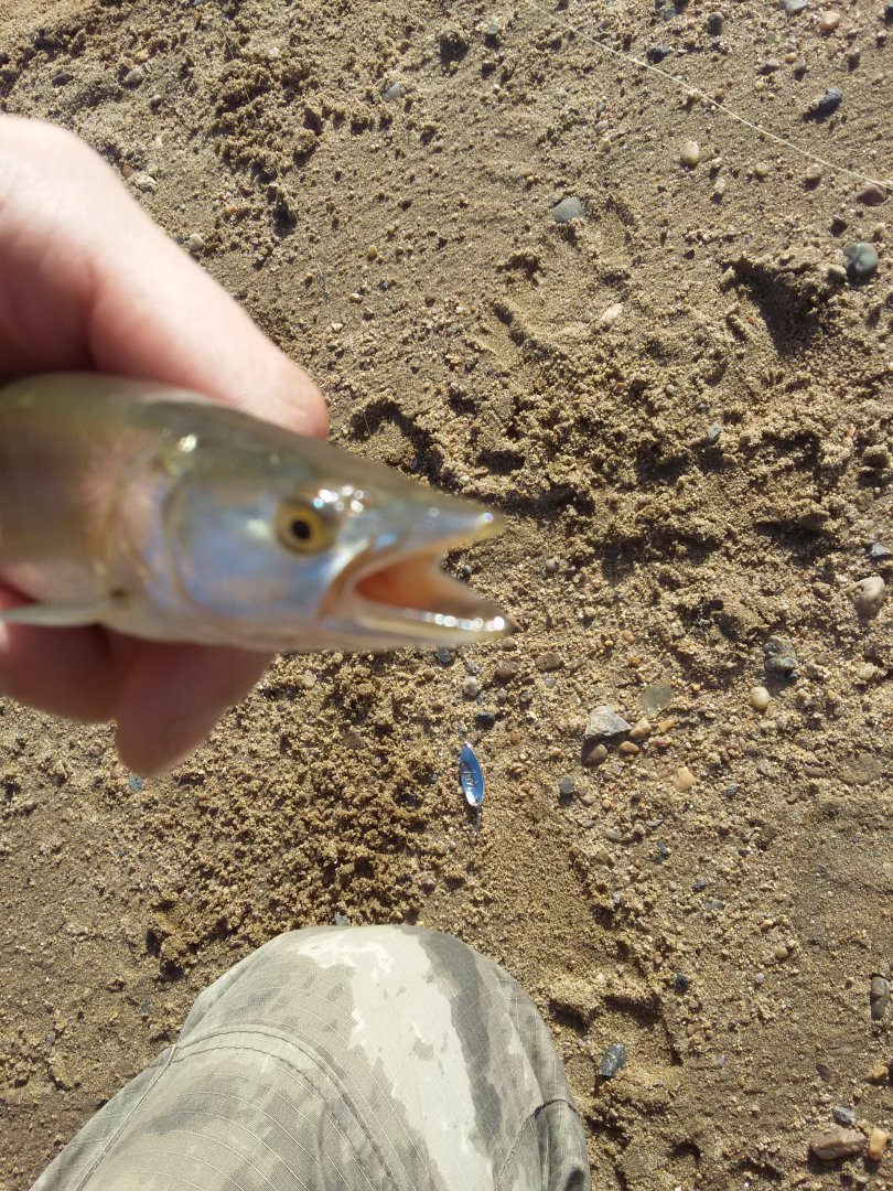 20170928_112011.jpg