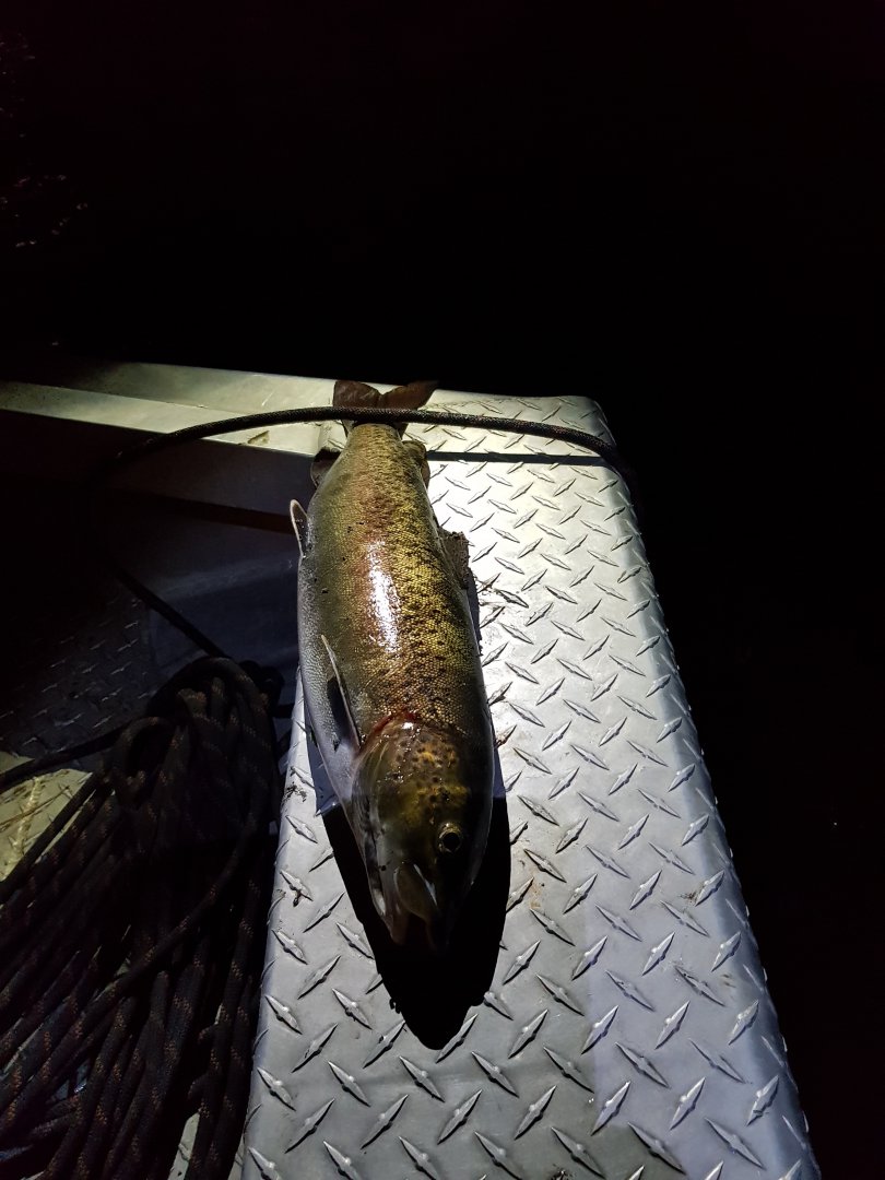 20170930_230926.jpg