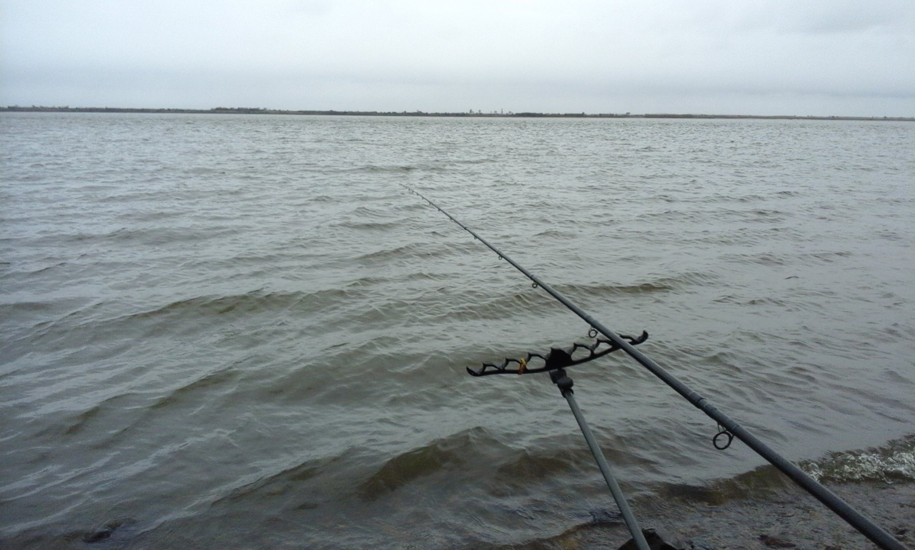20171002_113124.jpg