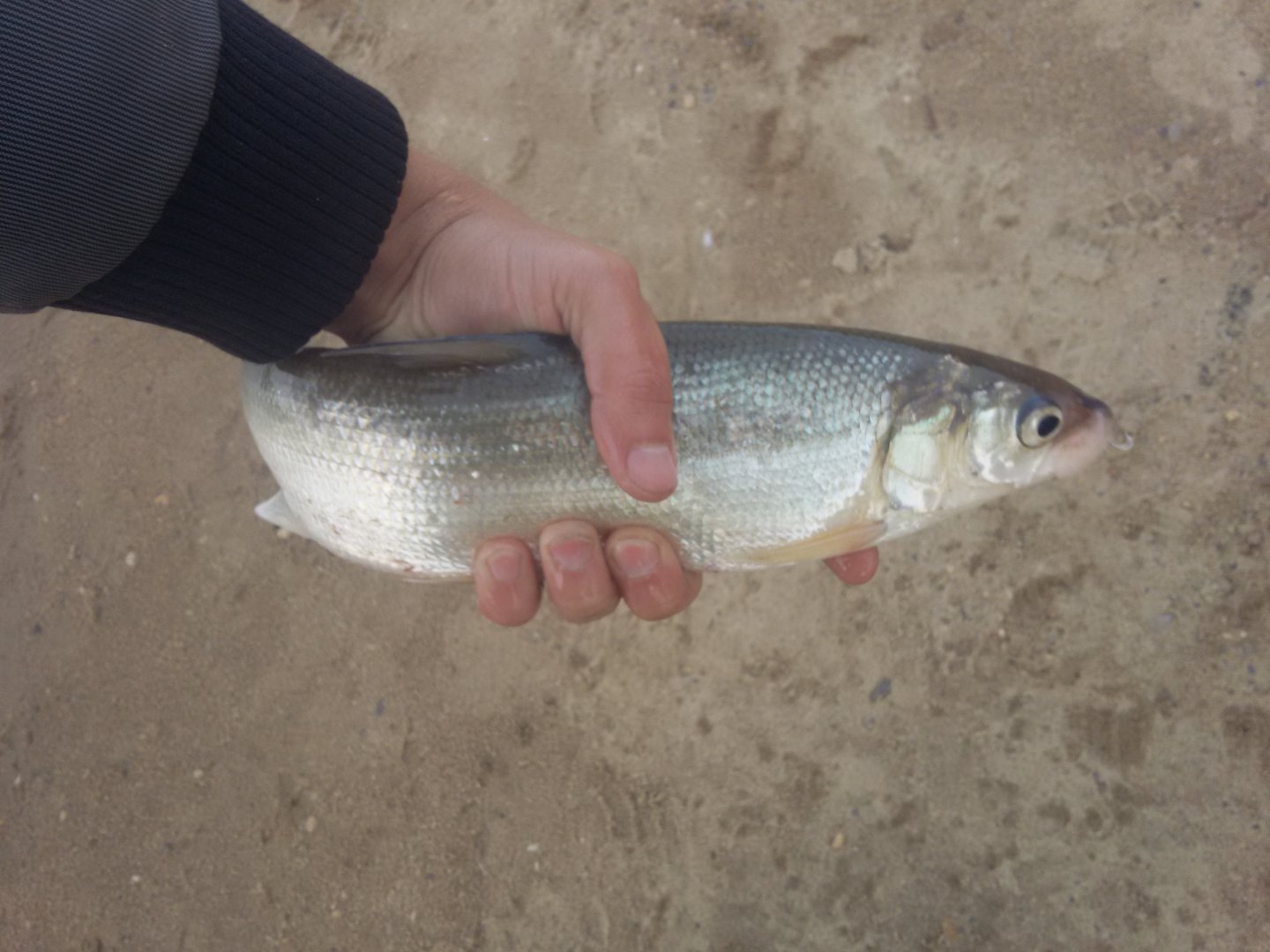 20171005_164537.jpg