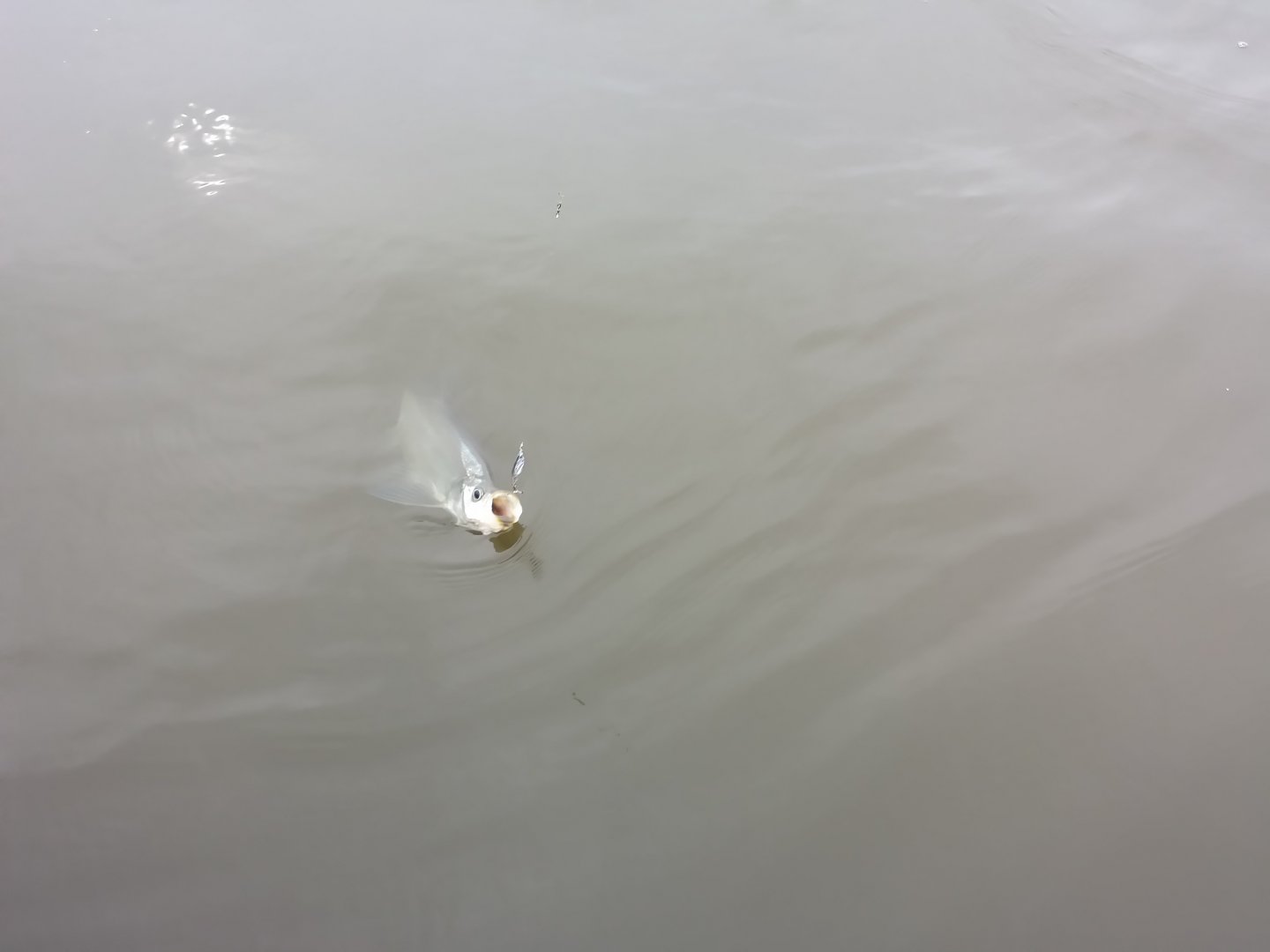 20171008_152134_LLS.jpg