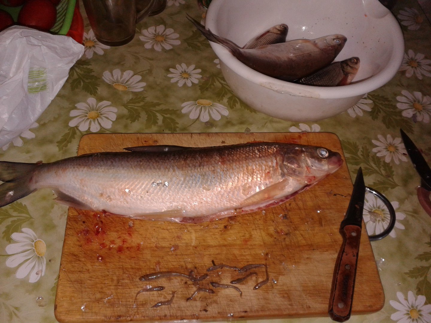 20171020_171040.jpg
