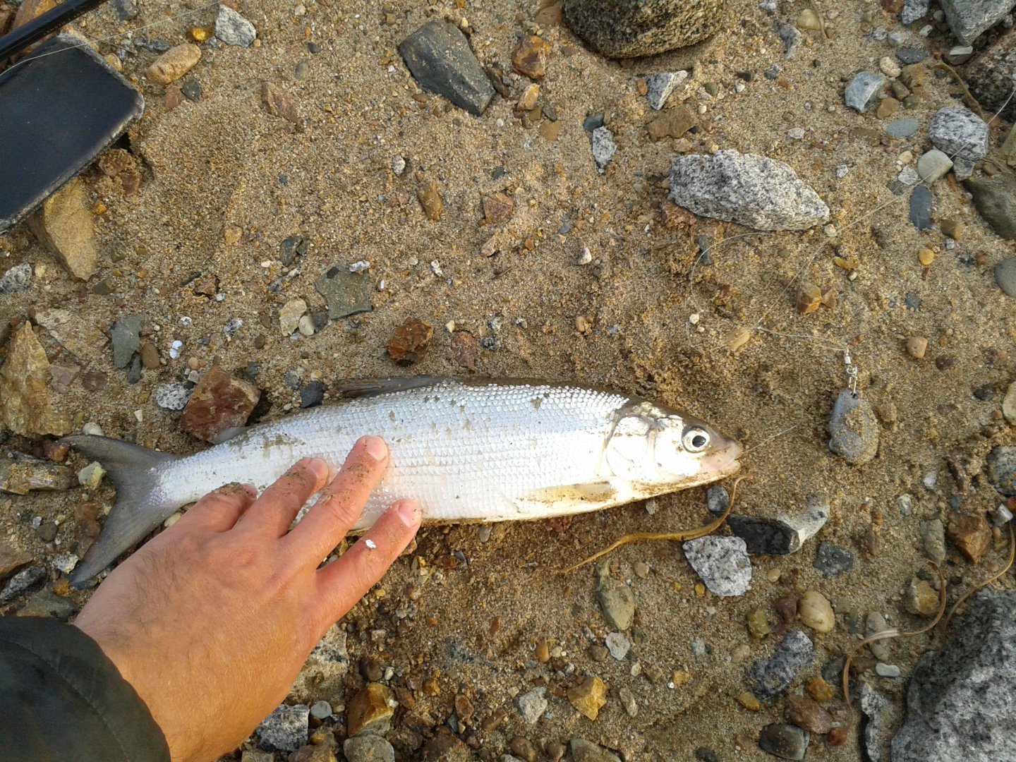 20171028_092747.jpg
