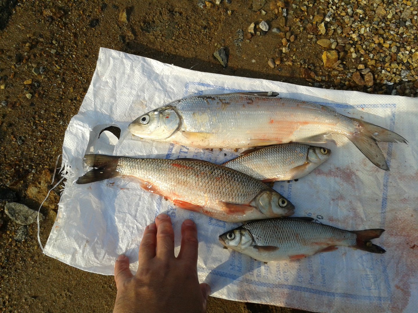 20171028_143428.jpg
